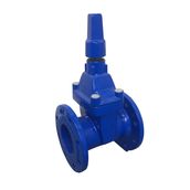 Resilient Seat Double Flanged Anti Clockwise Closed Wedge Gate Valve