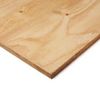 Shuttering Plywood Exterior Grade CE2+ FSC - 2.44m x 1.2m x 12mm