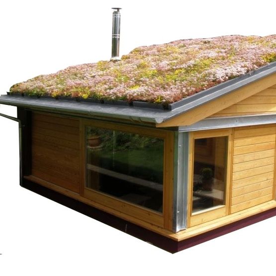 Video of Green Roofing Sedum Blanket Full System 50m2 Kit - Skygarden