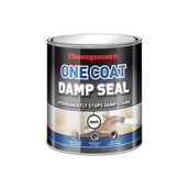 Thompsons One Coat Damp Seal - 250ml
