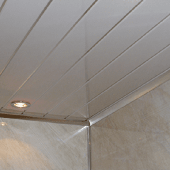 Geopanel Ceiling & Wall Panel (2 Strip) in White/Silver - 250mm x 2700mm
