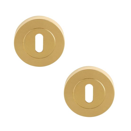 Pair of Designer FLEX / VENUS Polished Electro Brass Keyhole Door Escutcheons