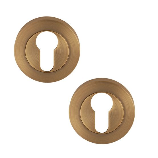 Pair of Designer FLEX Euro Profile Keyhole Door Escutcheons in Antique Brass